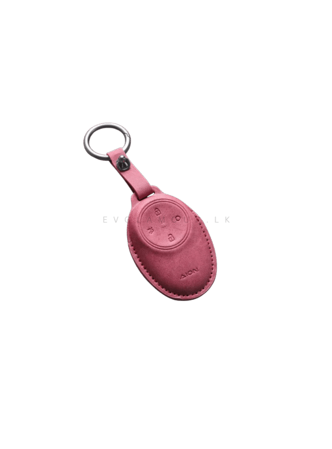 Smart Key Holder for Aion V