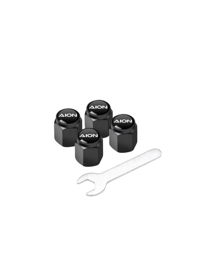 Aion Tyre Valve Cap
